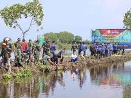 Lestarikan Lingkungan, Lanal Tegal dan Pelindo Tanam 3.200 Bibit Magrove