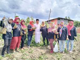 Wujudkan Ketahanan Pangan, Cak Ghoni Bersama Emak-Emak Panen Sayuran