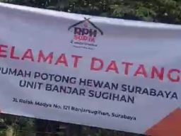 Rencana Relokasi RPH Pegirian ke Banjar Sugihan, Jagal Babi Angkat Suara