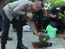 Penanaman 3 Ribu Pohon di Gresik