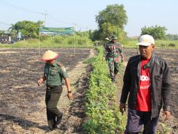 Wujudkan Ketahanan Pangan Nasional, Gelar Penanaman Jagung