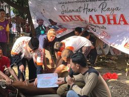 PKS Kota Surabaya Bagikan 10.500 Paket Kurban