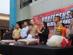 Terduga Pelaku Pencuri Mobil dan Tembakau Diamankan Polisi