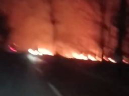 Kawasan Hutan Perhutani di Wilayah Lenggerong Kecamatan Bantarbolang Terbakar Malam Ini