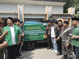 Lepas Ekspor 1 Ton Mangga Arumanis ke Dubai, Warnai Launching Program Kemandirian Kader Ansor Jatim