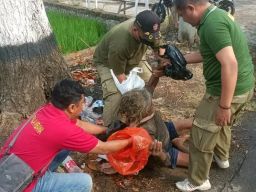 Seorang Pria Tergeletak di Pinggir Jalan Dievakuasi Oleh Satpol PP Pemalang