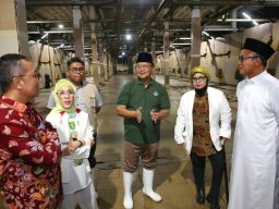 Usai Beredarnya Video Viral, Pjs Restu Minta Lakukan Ini ke PD RPH Pegirian