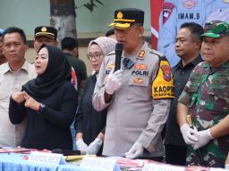 Polisi Berhasil Bongkar Ladang Ganja di TNBTS