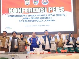 DKP Lampung Akan Tindak Tegas Perdagangan Ilegal Benih Lobster