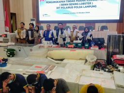Ungkap Kasus Penyelundupan Benih Bening Lobster, Polda Lampung Selamatkan Kerugian Negara Rp37,3 M