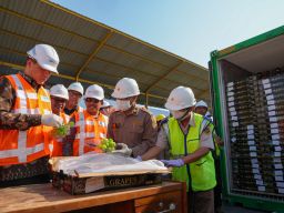 Perketat Pengawasan Karantina, Kepala Barantin Sidak TPK di Pelabuhan Tanjung Perak
