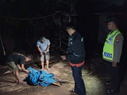 Polisi Bongkar Tempat Judi Sabung Ayam