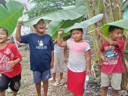 Tak Ada Payung, Pelepah Daun Pisangpun Jadi