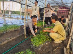 Ketahanan Pangan, Polisi Edukasi Petani Teknik Penanaman dan Pengelolaan Lahan