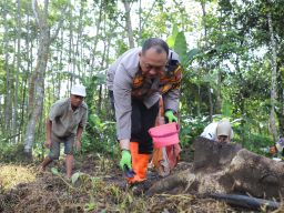 Komitmen Dukung Program Food Estate Polresta Malang Kota Tanam Jagung Varietas Unggul