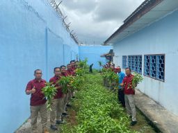 Wujudkan Ketahanan Pangan Kalapas Sungailiat Panen Kangkung
