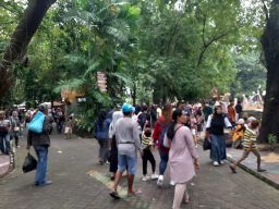 Antusiasme Tinggi di Kebun Binatang Surabaya, Target 41 Ribu Pengunjung Tahun Baru 2025
