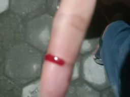 Seekor Musang Serang Anggota Regu Damkar Pemalang