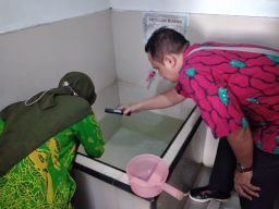 Dinkes Jatim: Waspada DBD Imbau Warga Masifkan PSN dengan 3M Plus