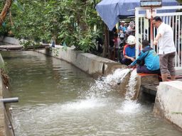 Banjir jadi Prioritas Pemkot Surabaya di 2025, Nunggu Anggaran Tambahan Disetujui