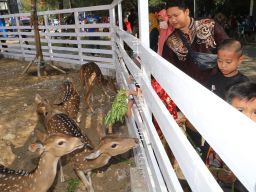 Lonjakan Wisatawan di Surabaya Saat Libur Isra Mikraj dan Imlek 2025, PAD Kota Meningkat