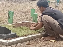 Andi Sujarwo Raup Cuan dari Pesanan Rumput Jepang Jelang Lebaran