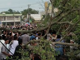 Korban Meninggal Akibat Pohon Tumbang di Salat Idulfitri Pemalang Bertambah Jadi Tiga Orang