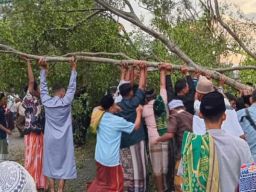 Pohon Beringin Roboh Saat Salat Idulfitri di Pemalang, Dua Jamaah Meninggal