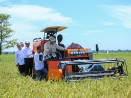 Prabowo Pimpin Panen Raya Nasional: Petani Adalah Tulang Punggung Bangsa