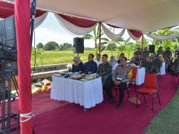 Dihadiri Presiden Secara Daring, Surabaya Panen Raya Padi Nasional