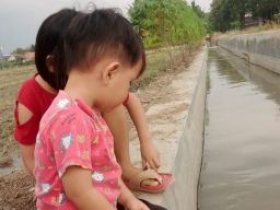 Areal Persawahan Sekolah Alam bagi Anak-anak