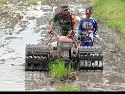 Ketahanan Pangan dari Pematang Sawah