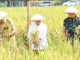 Hari Krida Pertanian 2025, Khofifah: Dorong Modernisasi Teknologi Petani Perkuat Ketahanan Pangan