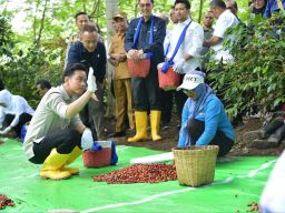 Wapres Gibran Kunjungi Bondowoso: Tinjau Layanan Kesehatan hingga Panen Raya Kopi Ijen