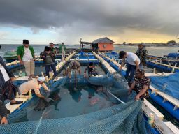 Kader Ansor Bangun Ekosistem Ekonomi Maritim di Sapeken