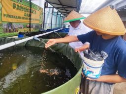Lapas Cipinang Kembangkan Budidaya Ikan Nila