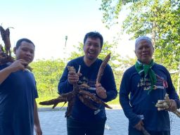 Kisah Unik di Tengah LDKS SMK MUDISA: Guru Pembina Ikut Berkebun di Lereng Gunung Wonosalam