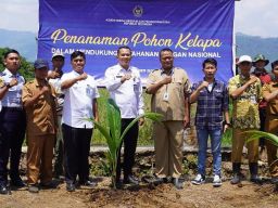 Dukung Ketahanan Pangan Puluhan Bibit Kelapa Hybrida di Tanam Rutan Pemalang