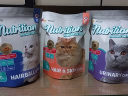 Nutrition Luncurkan Tiga Varian Baru untuk Kesehatan Kucing Kesayangan