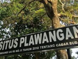 Situs Plawangan, Jejak Masalalu Kabupaten Pemalang Yang Hampir Terlupakan