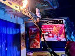 Detik-Detik Menegangkan, Petugas Damkar Pemalang Bakar Sarang Tawon Vespa