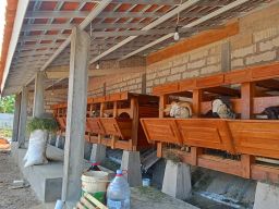 Program Ketapang Karangasem Dipertanyakan, Bangunan Green House Diduga Berdiri di Lahan Milik Kuwu