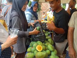 Festival Mangga Pemalang, Pedangan Raup Omzet Puluhan Juta