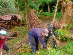 Dukung Penghijauan, Babinsa Garum Bersama Gapoktan Dan Warga Tanam Pohon Mahoni