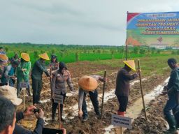 Dukung Ketahanan Pangan Nasional, Polres Sumedang Tanam Jagung Serentak 750 Hektare