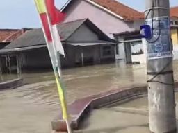 Banjir Pemalang Rendam Ratusan Rumah Warga Memilih Bertahan