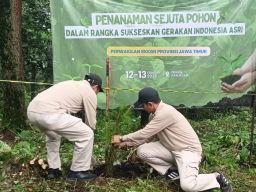 Tanam 1000 Pohon BKKBN Jatim Sukseskan Gerakan Indonesia ASRI