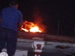 Sarang Tawon Vespa Raksasa Nempel di Atap Rumah Warga, Petugas Damkar Kesulitan Musnahkan