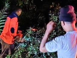 Sepasang Suami Istri di Pemalang Jadi Korban Pohon Tumbang