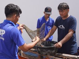 Panen 45 Kg Lele, Rutan Pemalang Perkuat Pembinaan Kemandirian WBP